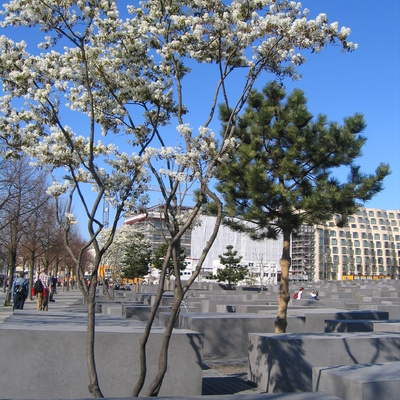 Holocaust memorial