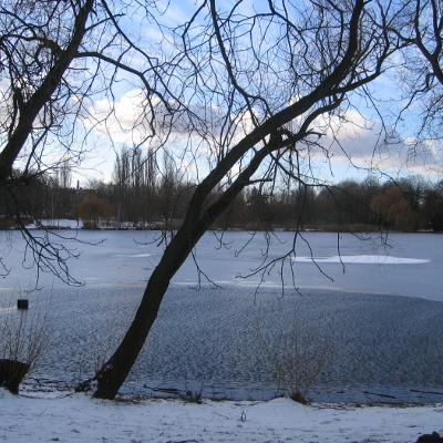 Schaefersee