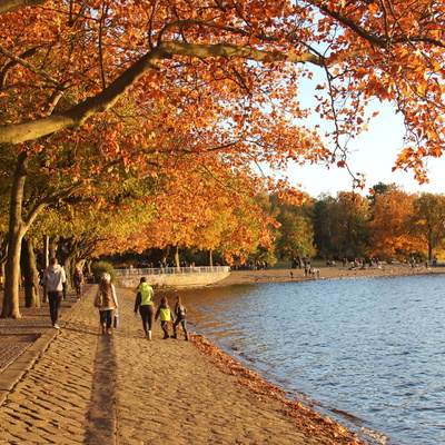 Greenwich Promenade